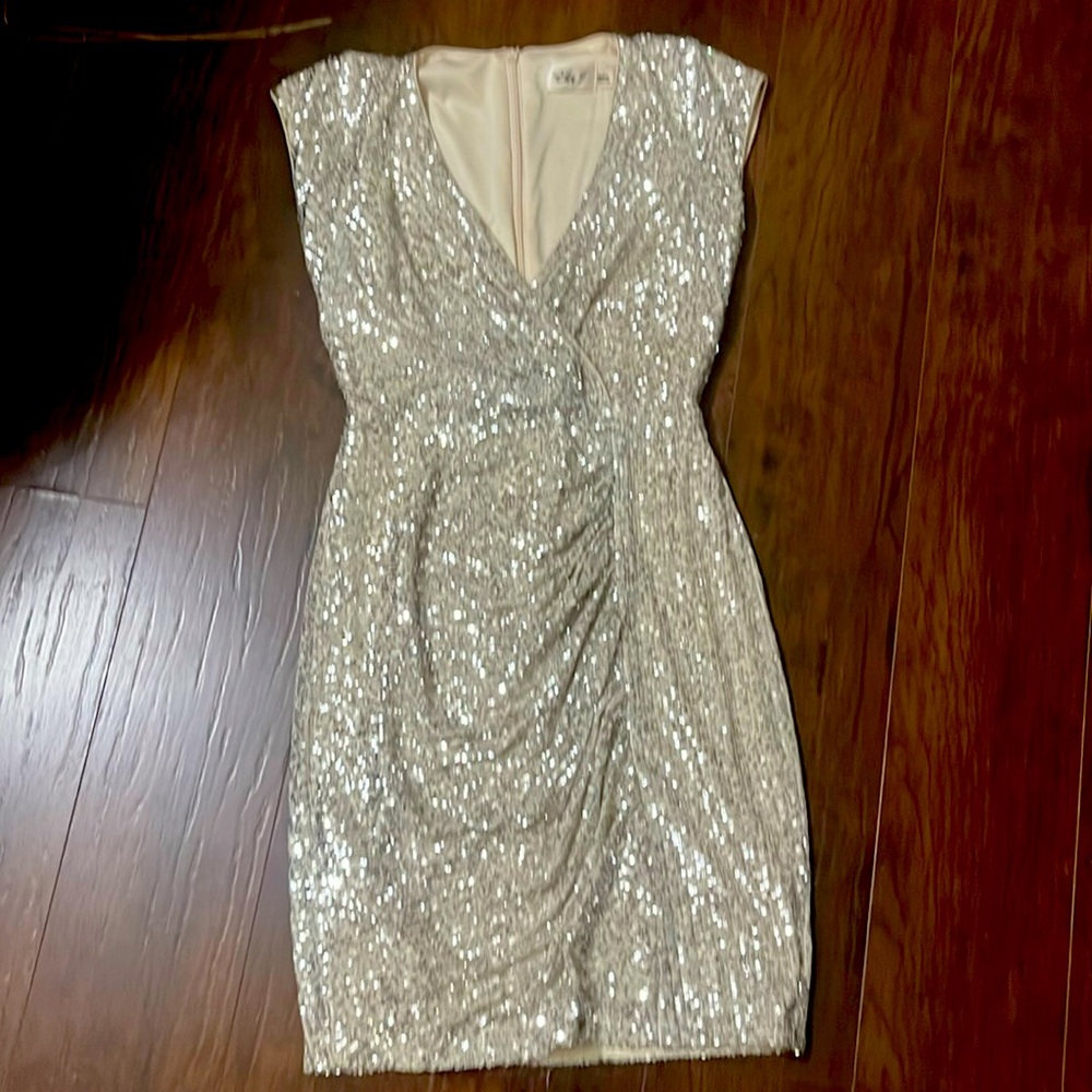 Silver sequin dress